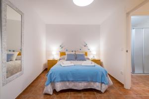 a bedroom with a blue bed and a mirror at El Rincón de Braulieta in Nogueruelas