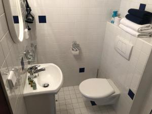 Koupelna v ubytování Apartmány pod věží