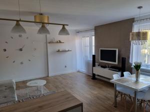 TV a/nebo společenská místnost v ubytování VIP apartmán