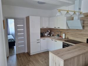 Kuchyň nebo kuchyňský kout v ubytování VIP apartmán