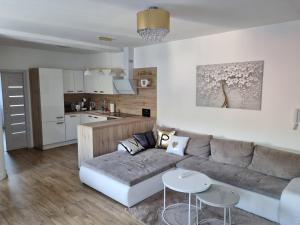 Kuchyň nebo kuchyňský kout v ubytování VIP apartmán