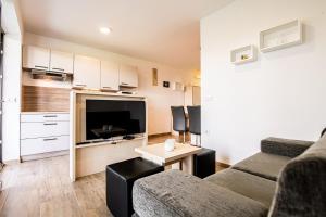 a living room with a couch and a tv at Apartmaji BANONIA " Štorkljin let " in Banovci