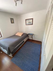 um quarto com uma cama e um tapete azul em Nido de Condores em Santiago