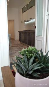 A kitchen or kitchenette at La Maison Della Torre