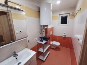 een badkamer met een wastafel, een toilet en een spiegel bij Apartmány Svítkov 79 in Pardubice