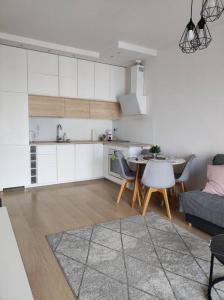 Lovely Apartment vis-a-vis Medicover and Paley Institute 주방 또는 간이 주방
