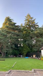 a large green yard with trees in the background at Hillview Cottage in Stirling