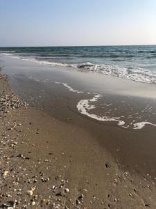 een strand met voetafdrukken in het zand en de oceaan bij Гостевой дом на Елисейских полях in Mykolaivka