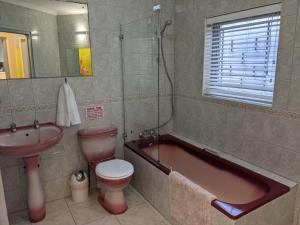 Ένα μπάνιο στο Villa Cape Garden Route +107 φωτογραφίες