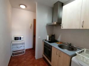Кухня или мини-кухня в Apartamentos El Puente
