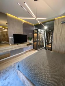 a bedroom with a bed and a flat screen tv at Art'penthouse in Braşov