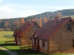 a wooden house with a brown roof in a field at Caloroczne Domki w Gorach"ALEKSANDER" in Kacwin