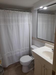 La salle de bains est pourvue de toilettes, d'un lavabo et d'un miroir. dans l'établissement Departamento Temuco Thiers, à Temuco