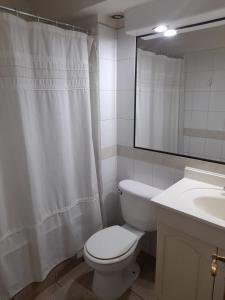 a bathroom with a toilet and a sink and a mirror at Departamento Temuco Thiers in Temuco