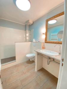 a bathroom with a sink and a toilet and a mirror at Villa Seebach in Boltenhagen +86 photos