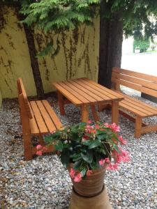 a wooden picnic table and benches and flowers in a pot at Hotel Carmen in Munich