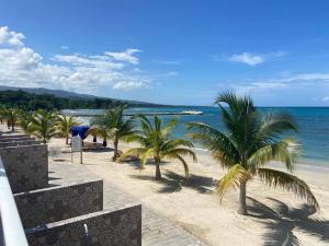een zandstrand met palmbomen en de oceaan bij Modern, chic waterfront 3-bedroom villa w/ pool in Saint Annʼs Bay