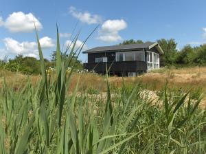 a black house sitting on top of a field at Axelgaard Nature Suite in Hennebjerg