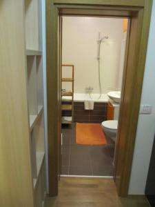 y baño con ducha, aseo y lavamanos. en Zd City Apartment, en Zadar