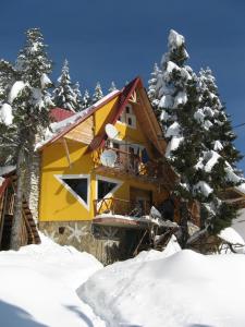 ブルトプにあるCasa Floare de Coltの雪中の黄色い家