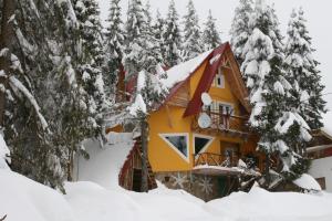ブルトプにあるCasa Floare de Coltの森の雪に覆われた家