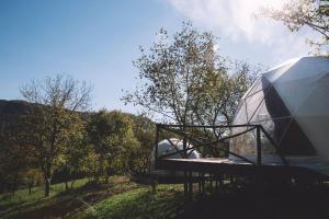 Příroda nedaleko luxury tent + 24 fotografií