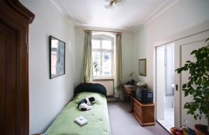 Fotografie z fotogalerie ubytování Hotel Goldener Hecht v destinaci Heidelberg