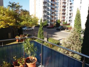 een balkon met potplanten en een parkeerplaats bij Avantgarden1 .Apartament lux in Braşov