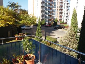 a balcony with potted plants and a parking lot at Avantgarden1 .Apartament lux in Braşov