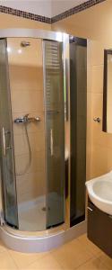een badkamer met een douche en een wastafel bij Apartament Promenada in Ostróda