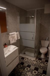 uma casa de banho com um chuveiro, um WC e um lavatório. em Calme et cosy em Obernai