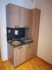 een keuken met een wastafel en een aanrecht bij Bela Jela in Brzeće