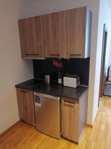 a kitchen with a counter top and a refrigerator at Bela Jela - Brzeće, Kopaonik in Brzeće
