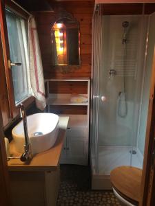 ein Bad mit einem Waschbecken und einer Dusche in der Unterkunft Chalet à la campagne in Clais