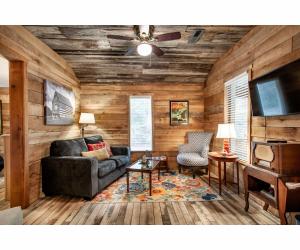 uma sala de estar com um sofá e uma televisão em Beary Relaxing Cabin - Rustic with Outdoor Patio em Townsend