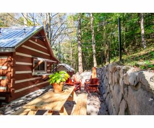 uma cabina com uma mesa de piquenique e uma parede de pedra em Beary Relaxing Cabin - Rustic with Outdoor Patio em Townsend