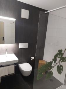 Apart-Hôtel Pont-de-Thielle的一间浴室