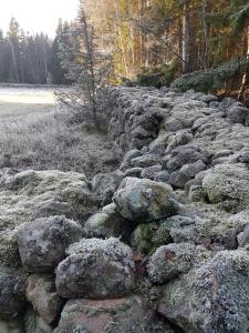 Una pared de piedra con musgo encima. en Vristulvens äventyrscenter, en Mariestad