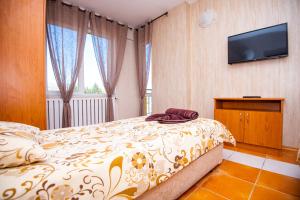 ラズロクにあるСемеен Хотел Надеждаのベッドルーム(ベッド1台、薄型テレビ付)