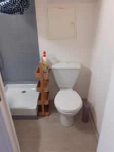 a bathroom with a white toilet and a bath tub at Jolie studio au coeur d'Allos in Allos