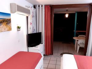 TV a/nebo společenská místnost v ubytování Studio Climatisé - Piscine-Plage - 1 à 2 personnes