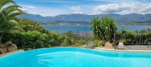 a swimming pool with a view of the water at Résidence Alt'aria in Porto-Vecchio