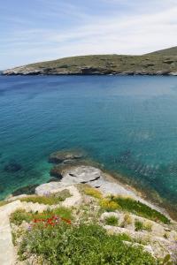a view of a large body of water with flowers at Camara Homes in Andros