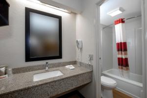 
a bathroom with a toilet, sink and mirror at Red Roof Inn Cleveland - Medina in Medina
