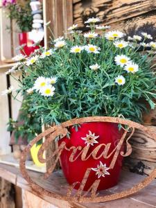 Fotografie z fotogalerie ubytování Pension Heidelberg - Fam Fuchs v destinaci Hopfgarten im Brixental