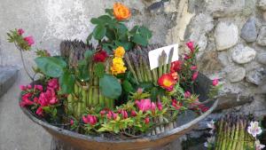 A garden outside Albergo Rusall