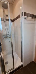 a shower with a glass door in a bathroom at Hotel Prox in Arnstadt