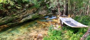 a hammock hanging over a stream in a forest at Vikendice Biocinovici in Kolašin