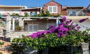 Vonkajšia záhrada v ubytovaní Guest House Misita