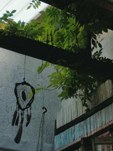 a hanging basket with shoes hanging from a plant at Hst Ateliê Marli Marques in Pelotas